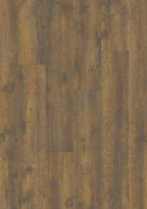 40287_вековои-дуб-темныи2