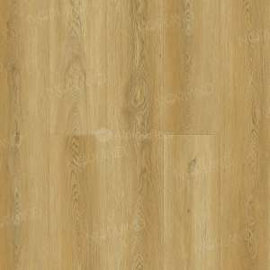 Vold_1022-11
