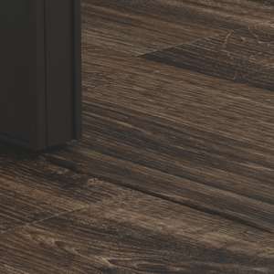 PGVINCP40091
