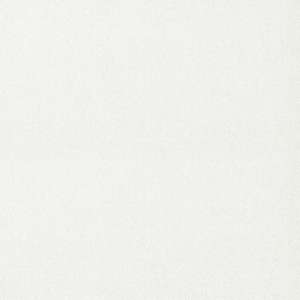 54361-5-oboi-andrea-rossi-spectrum-max-618637.1000x1000x1x