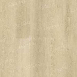 Signe_1022-9