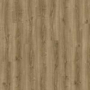 Silky Oak 235