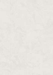 v4320-40169_альпиискии-камень-белыи2