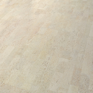 i801002_prespective