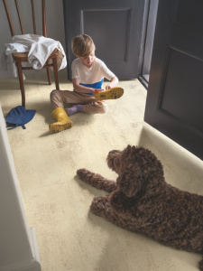 v4320-40298_сухои-песчаник1