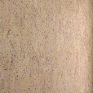 ta22002_prespective3