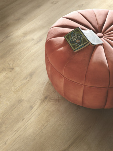 40286_вековои-дуб-бежевыи