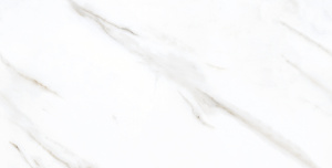 Фото Керамогранит Elemento Dante Statuario 