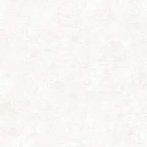 Обои Alessandro Allori Giorgio 1006-1 RGI