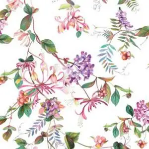 oboi-marburg-flora-47456