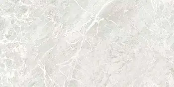Керамогранит Art Ceramic Extra (Напольная плитка Extra Silver 60х120 Matt)