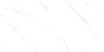 Керамогранит Vizavi Lande (Напольная плитка Lande L12614 1200x600 POLISH)