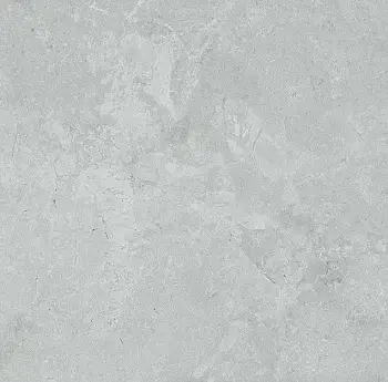 Керамогранит Dako Legend (Напольная плитка Legend E-5001/MR/600x600x9 матовый)