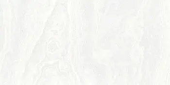 Керамогранит Gresse Petra (Напольная плитка GRS02-30MD Petra Paradise Pearls 1200*600*10 MR)