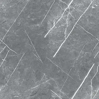 Керамогранит Royce Carnico Grey (Напольная плитка PR1019 Carnico Grey 600x600 POLISH)