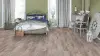 image (2)
