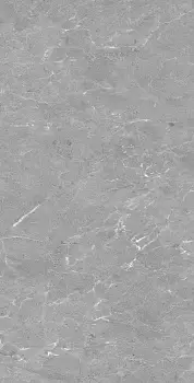 Керамогранит Vizavi Williams grey (Напольная плитка Williams 1200*600*9 PR Grey)