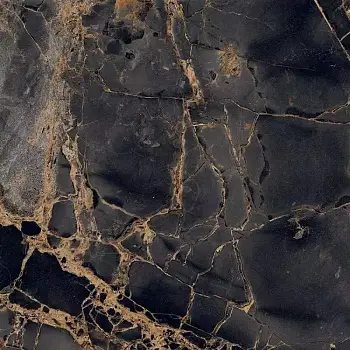 Керамогранит Primavera Golden (Напольная плитка GR101 Golden Black 600x600 POLISH)