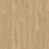 px2shalaejf1cwbkedb546ukiuas2tw0