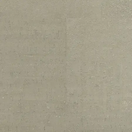 C88Q001_PE